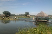 Ruda Sułowska - łowisko dla "...." - to tak jak polowanie na pastwisku lubstajni