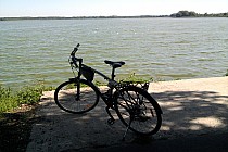 Azor nad stawem Jamnik