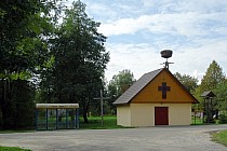Żyłka