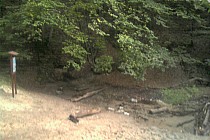 Źródło Sztoły - widok