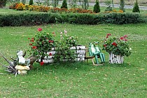 Ciotusza Nowa - żaby