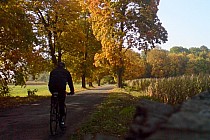 Między Królikowicami a Krzyżowicami