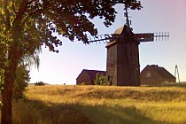 Wiatrak w Lubięcinie