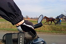 Kiedyś w Szukalicach był tor dla kłusaków  ...był.