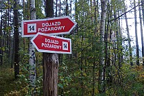 wybieramy 14 w prawo