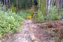 coś na złamanie karku , tego rodzaju zjazdów można znaleźć tutaj sporo