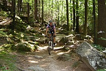 Atrakcje na zielonym szlaku wzdłuż Kamiennej