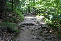 Atrakcje na zielonym szlaku wzdłuż Kamiennej