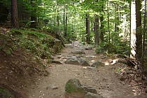 Atrakcje na zielom szlaku wzdłuż Kamiennej