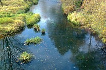 Kamienna w Marcinkowie