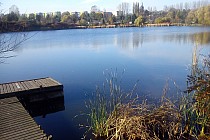 Staw Foryśka w Piaśnikach