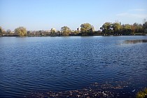 Staw Skałka w Piaśnikach