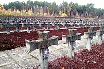 Cmentarz wojenny w Palmirach