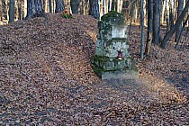 Zbydniów grób Ponieńskiego pochowany ponoć z koniem i uprzężą