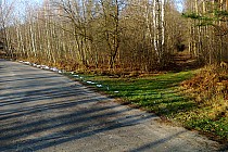 Cień drzew pokazuje miejsce gdzie trzeba wjechać