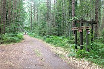 do morza tylko 1,9 km  ...