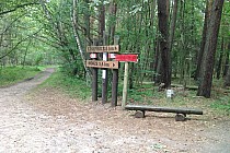 rozwidlenie na Czołpino ...