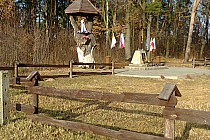 Cmentarz z I Wojny Światowej w Zaleszanach