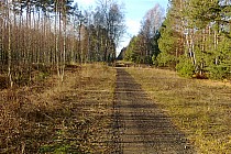 Piękna pogoda i to koniec grudnia 2013 się wierzyć nie chce