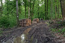 Ślężańskie szlaki