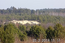 taki piękny widok na resztki puszczy sandomierskiej