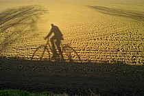 Malowane wieczornym słońcem. Droga przed Szukalicami