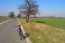 Takie, drogi lubię najbardziej. Świetny asfalt i nieomal brak ruchu.
