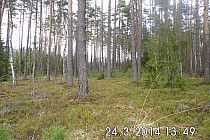 Przynajmniej ze trzy razy tam zaglądałem kompletnie nic nie widać , a jest wiosna .Wydaje sie ,że latem miejsce niemal niewidoczne.