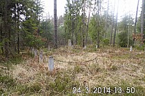 Trzeba podejść zdecydowanie bliżej!