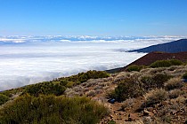 Powyżej 2 tys m często widoczna jest warstwa chmur unosząca się na zboczach wulkanu