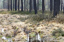 Jeżeli pod kołami widać rosnącą żurawinę , to mamy "problem"