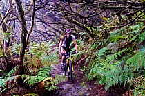 Cruz de Taborno - krótki singiel nieco ponad 1 tys m n.p.m.