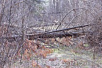 Nareszcie wyszliśmy z bagien