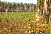 widok z wieży na tę najciekawszą część wycieczki