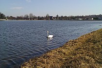 Zalew w Wąchocku z widokiem na opactwo Cystersów (w tle)