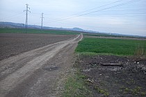 Droga do Przełajki,w tle góra św Doroty w Grodzcu