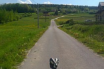 Esy-floresy  czyli wyzwanie dla twardzieli :)