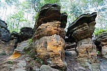 Rezerwat Piekło pod Niekłaniem