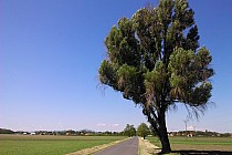 W drodze do... między Wilczkowem a Pełczycami