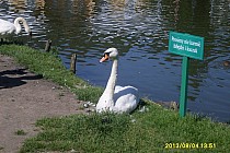 zdjęcie z  nałęczowa