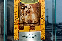 Krzyżacy- po chińsku.