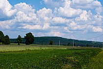 Po drodze wiele takich widoków.