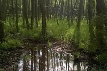 Stobrawski Park Krajobrazowy