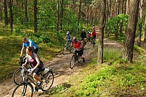 Więcej jechało (Park Kampinowski)