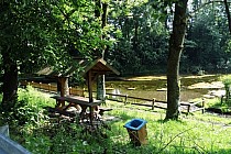 Źródła rzeki Tanew w Łukawicy