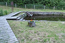 Stok - źródełko w Górecku Starym