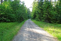 Przez Roztoczański Park Narodowy