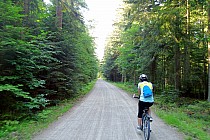 Przez Roztoczański Park Narodowy