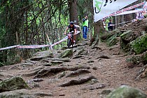 Michalina Ziółkowska