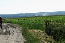 Prawie na szczycie Łysej Góry koło Przeorska